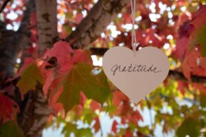 Ornement en forme de cœur avec le mot gratitude accroché à un arbre avec des feuilles aux couleurs de l'automne.