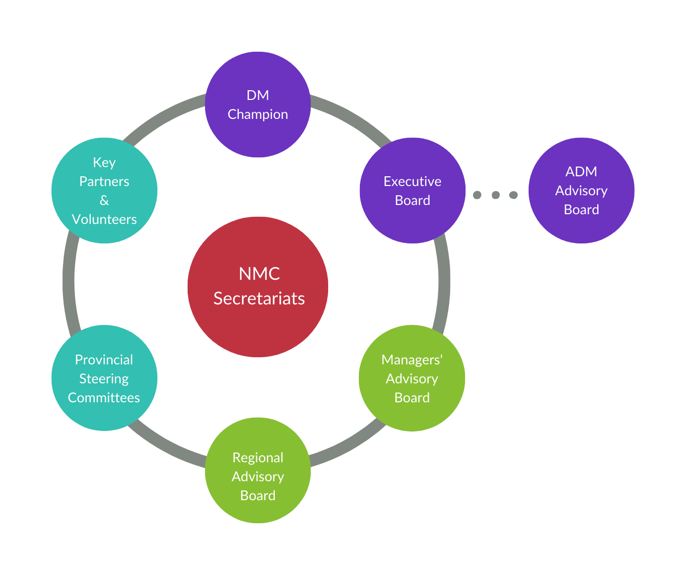 Image of NMC governance structure