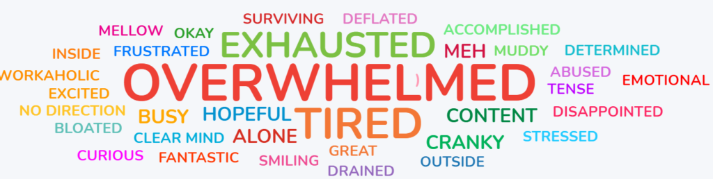 Words such as “overwhelmed”, “exhausted”, and “tired” had the most entries.