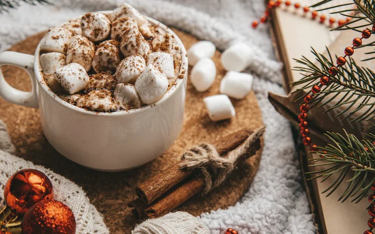 An image of a mug of hot chocolate, surrounded by marshmellows, cinnamon sticks and holiday ornaments.