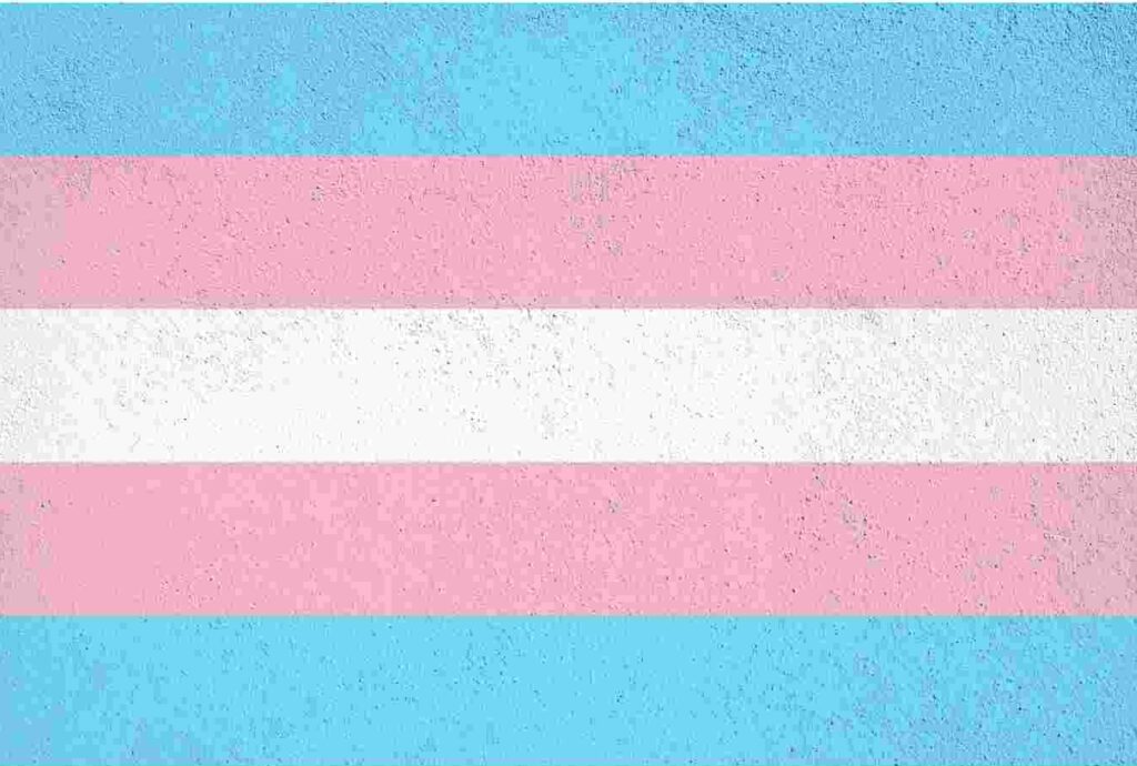 An image of the transgender flag.