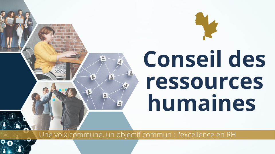 conseil de ressources humaines