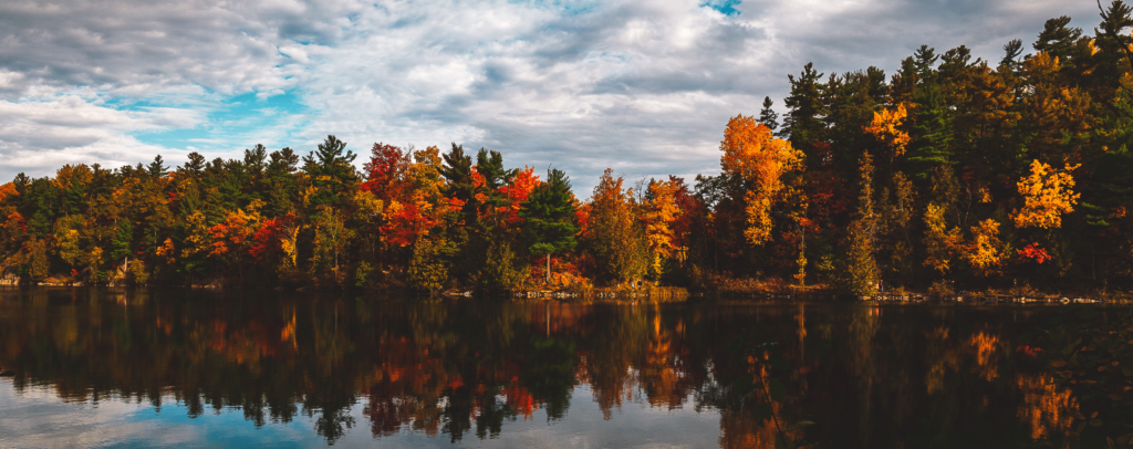 An image of an autumn forest reflecting on a smooth water surface.