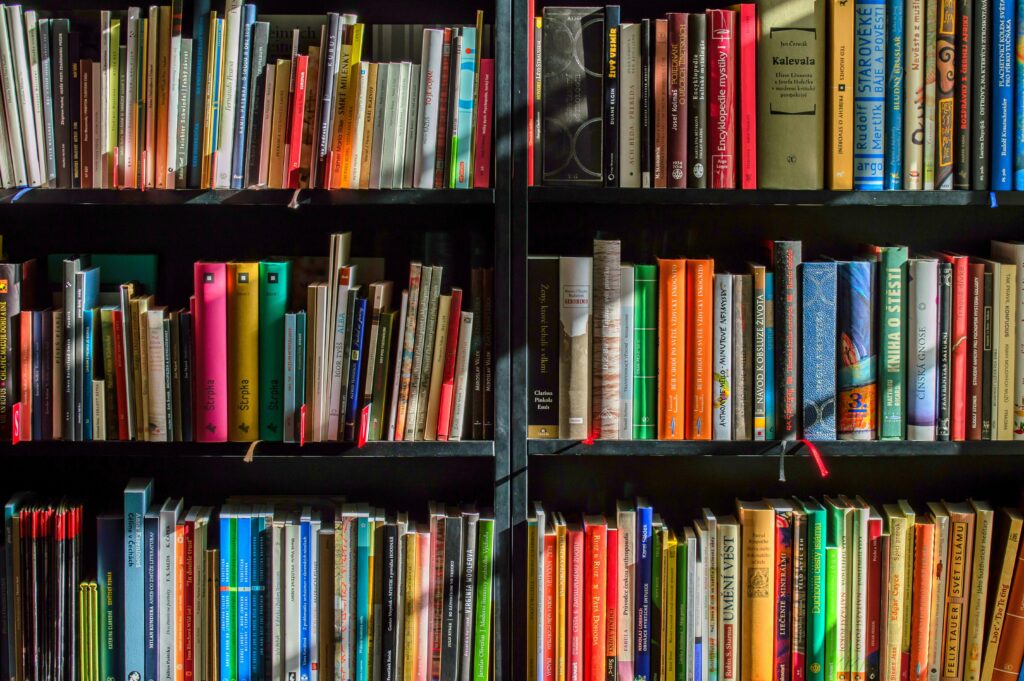 An image of a bookshelf.