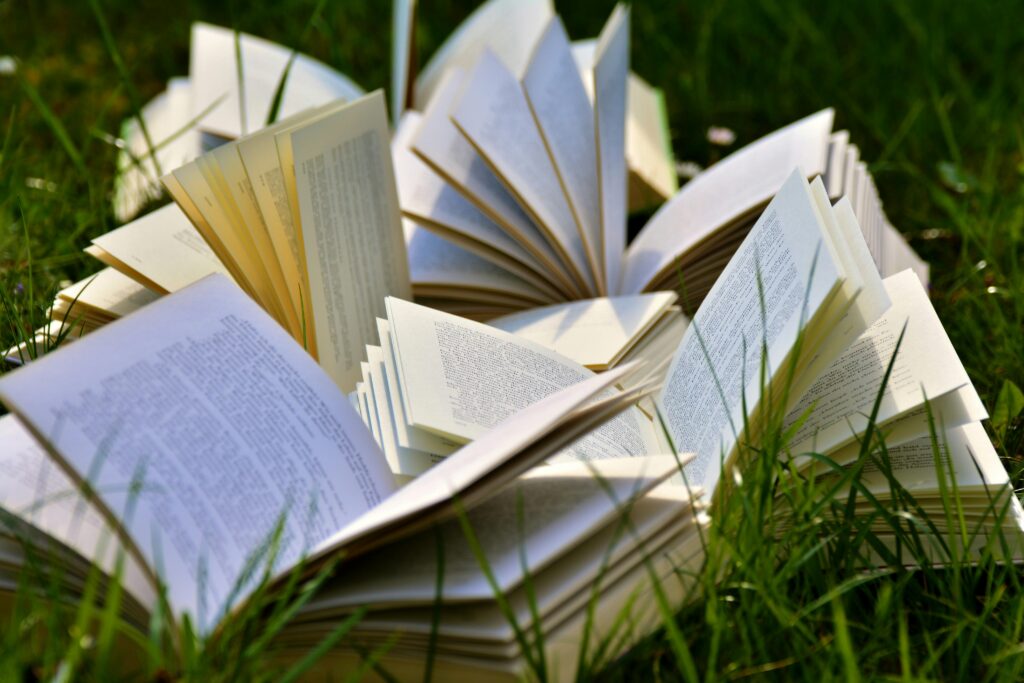 An image of books open on the grass